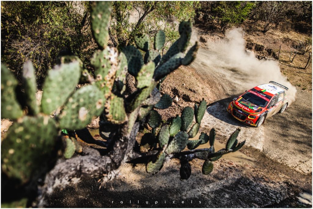 Rally Mexico 2020