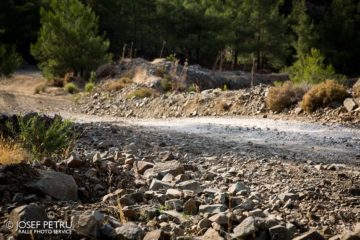 Cyprus Rally 2019