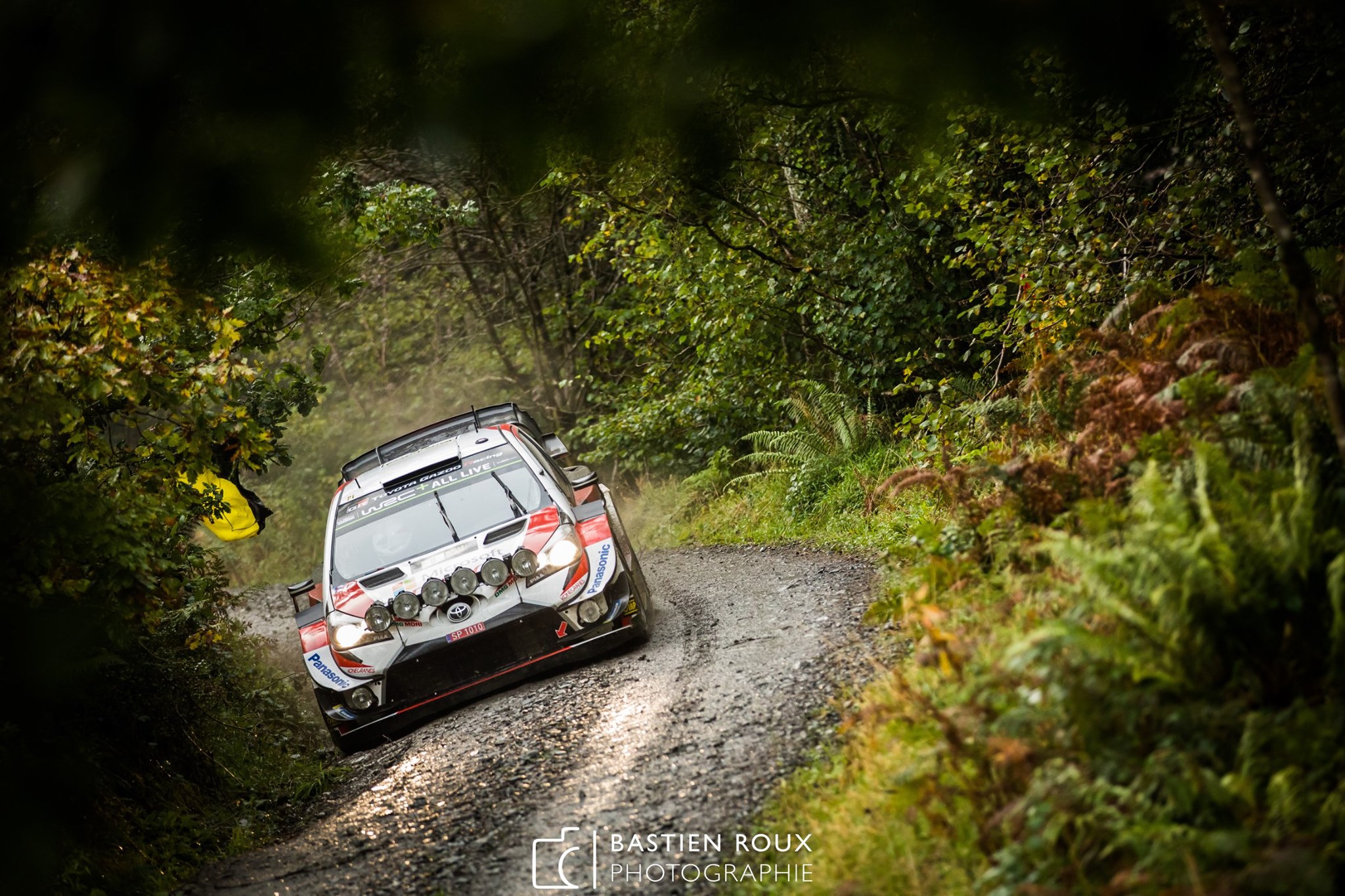 Wales Rally GB 2019