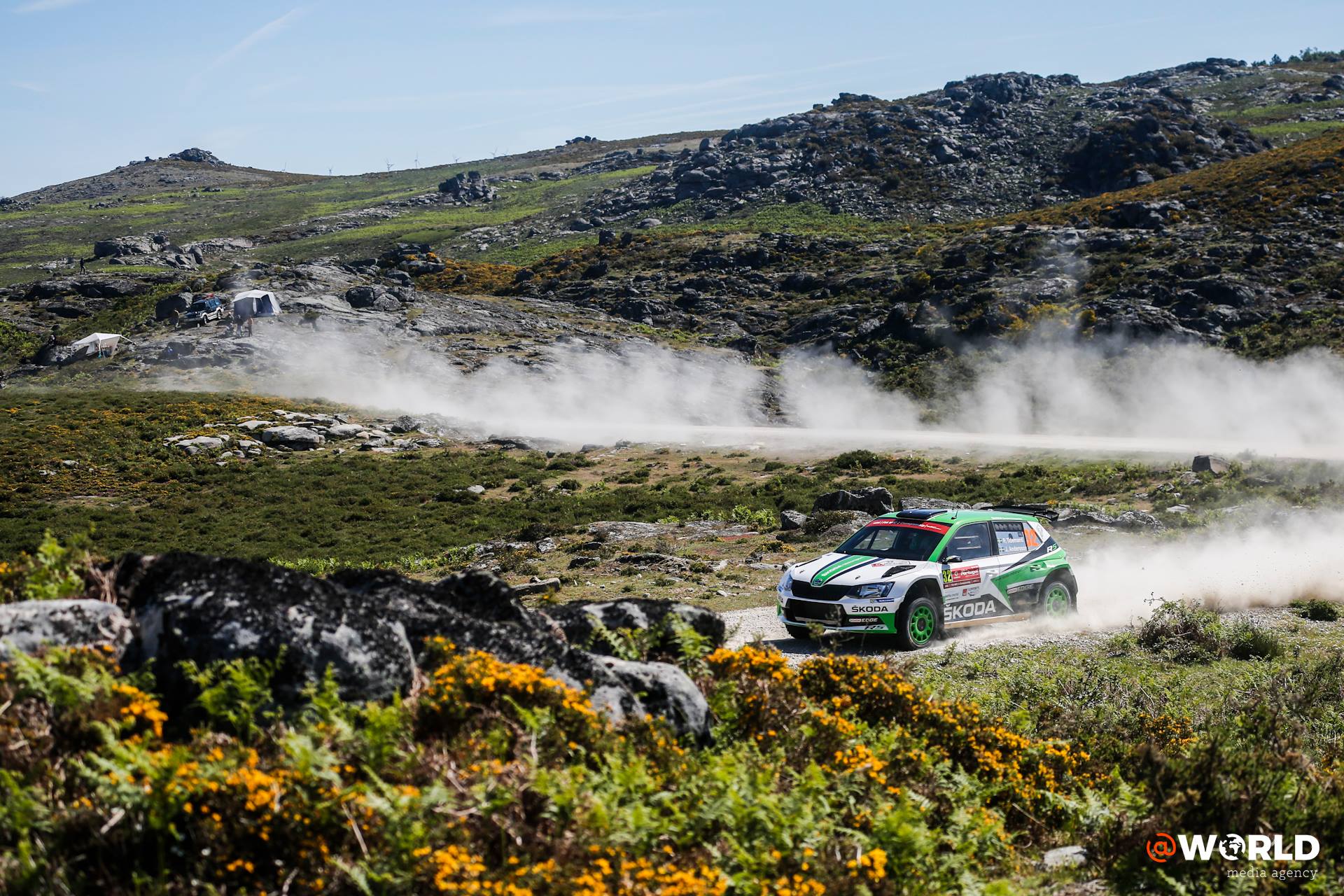 Pontus Tidemand classement WRC-2