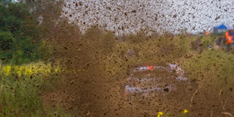 Neuville Shakedown du Rally Poland 2017