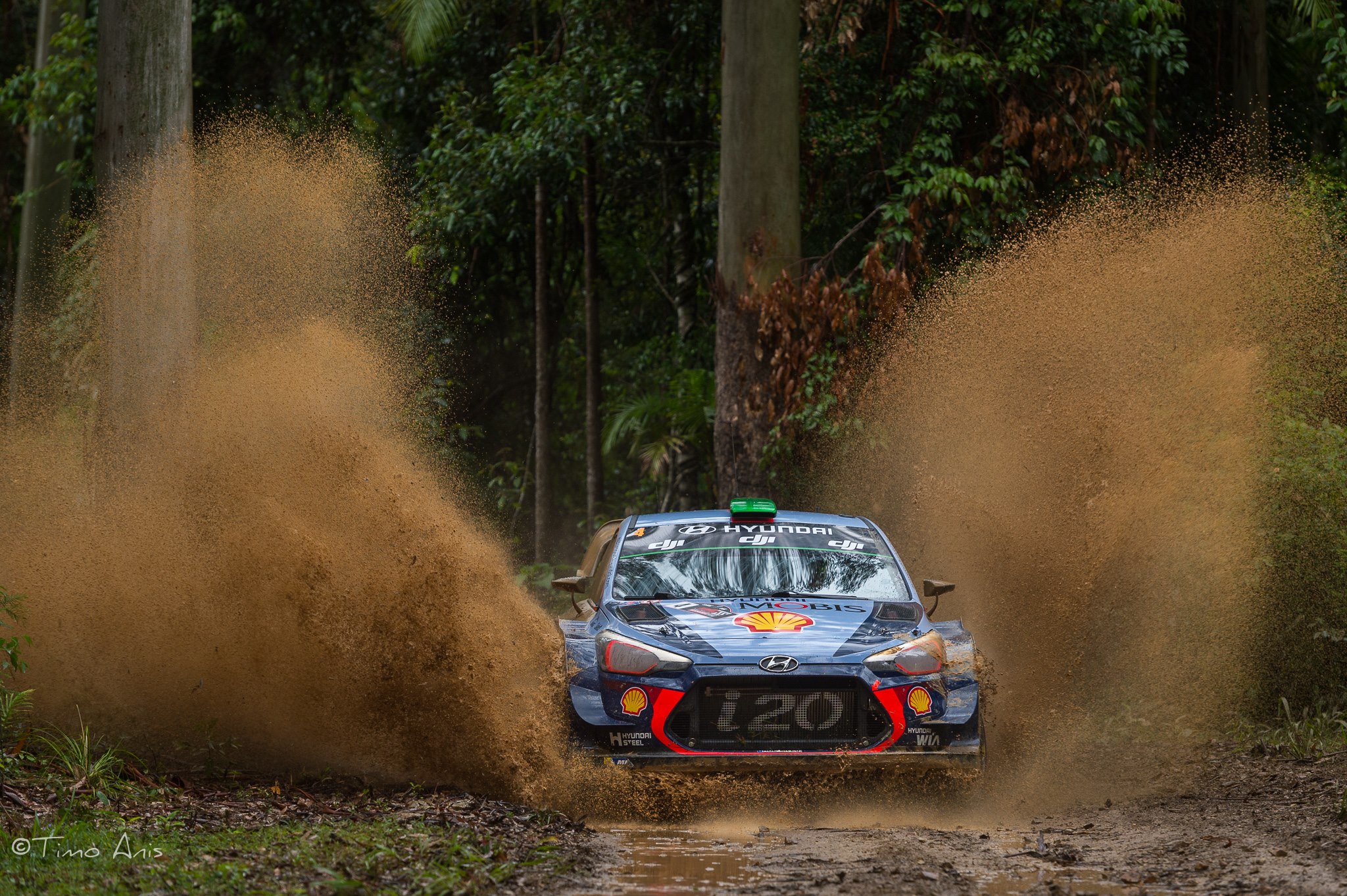 Sordo et Paddon